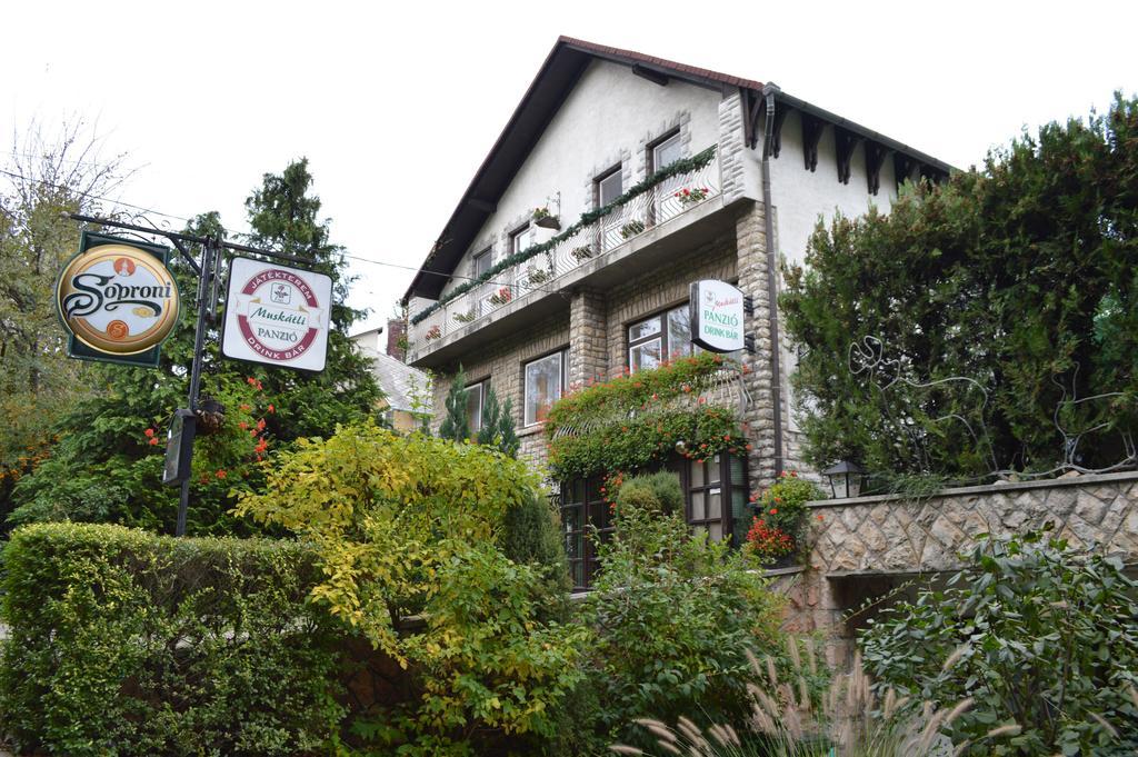 Bed and Breakfast Muskatli Panzio Дьёр Экстерьер фото