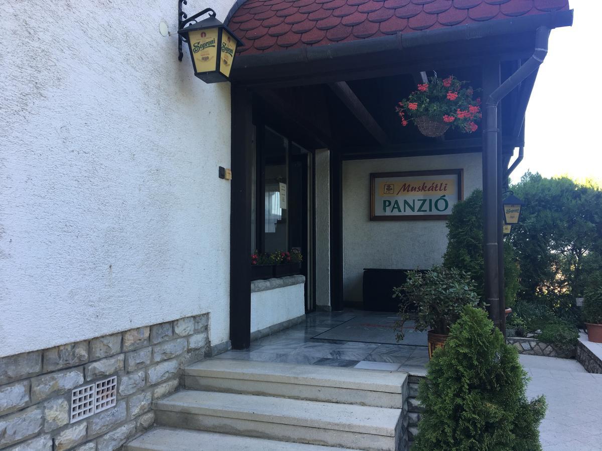 Bed and Breakfast Muskatli Panzio Дьёр Экстерьер фото
